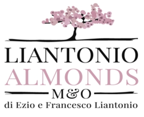 M. & O. DEI FRATELLI LIATONIO SPA